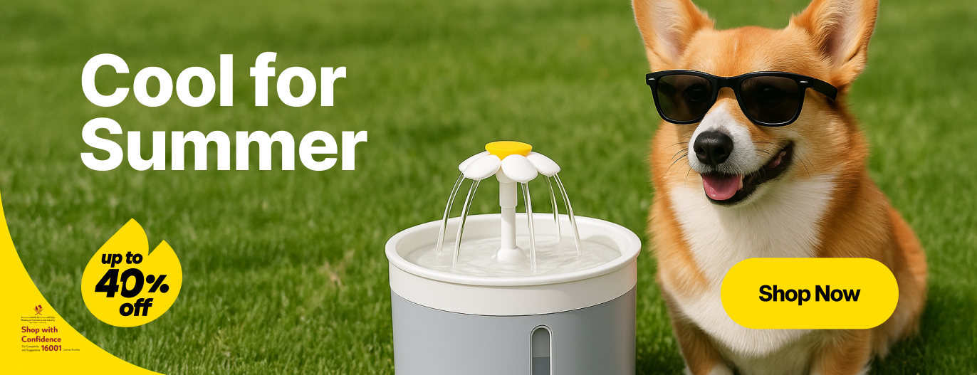 Cool For Summer - Pets