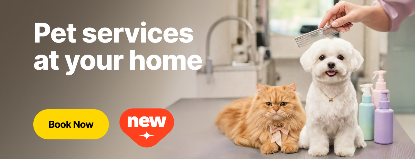 Pet Service