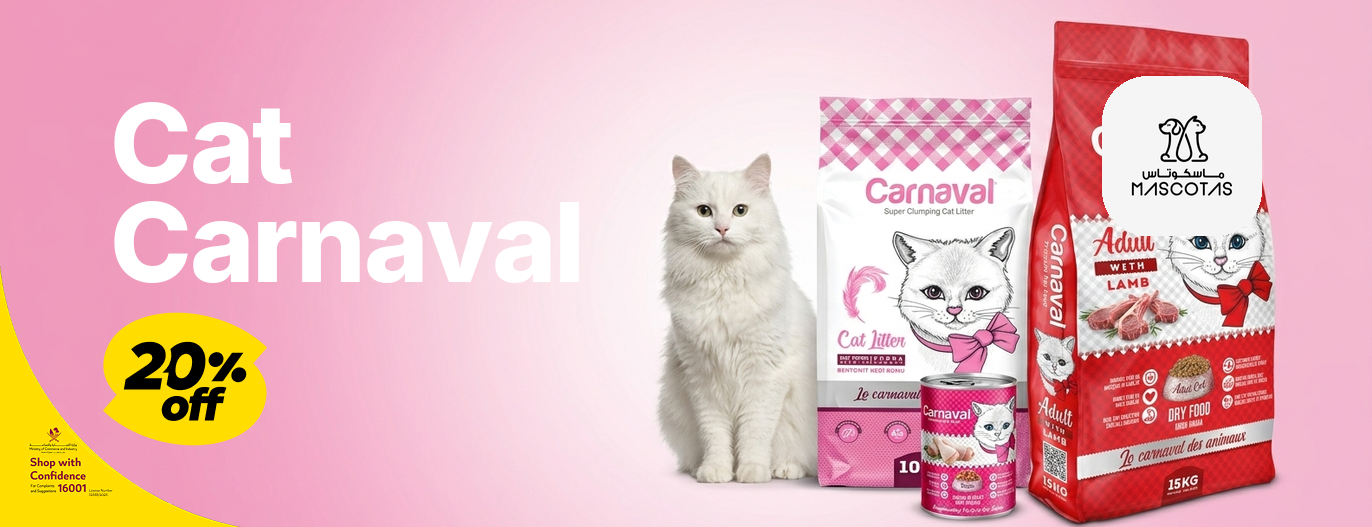Cat Carnaval - Mascotas