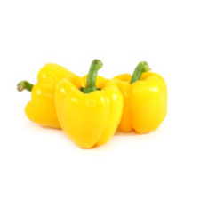 Capsicum Yellow Holland 500 g