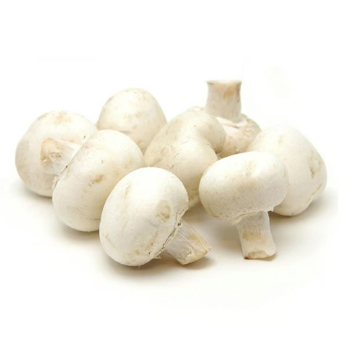 Mushroom Doha