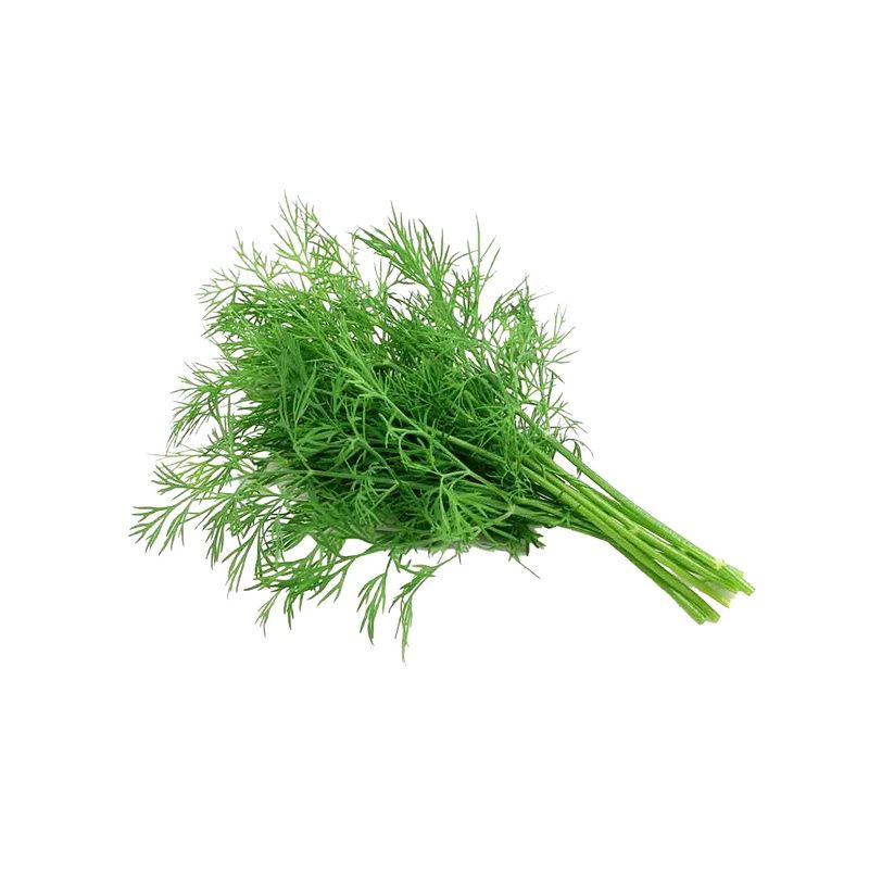 Dill Leaves 1kg