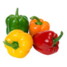 Capsicum Colour mix packet
