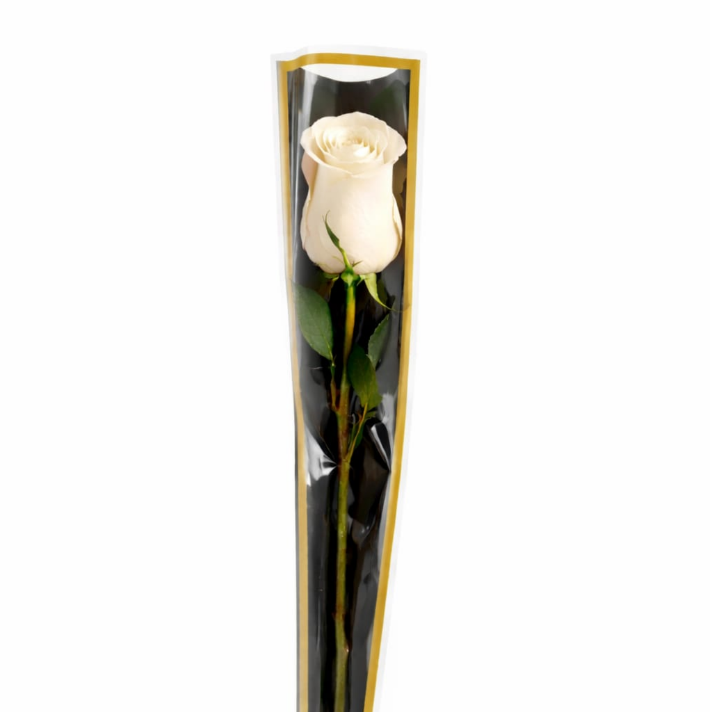 Single White Rose