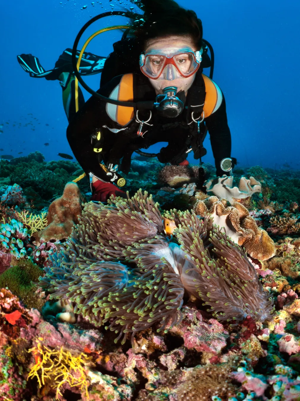 Qool Qatar - Scuba Diving image