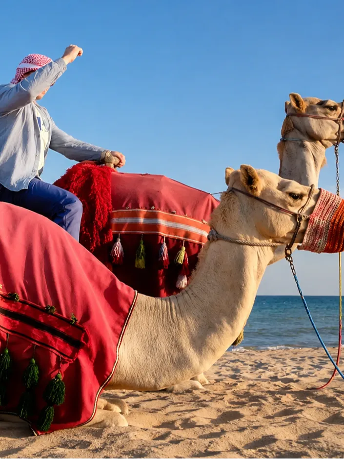 Experience Qatar - Desert Essentials Experience (Half-Day) image